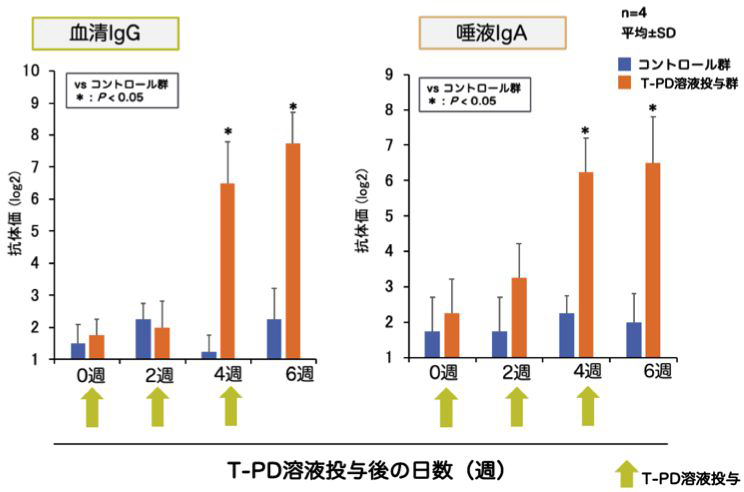 試験特徴