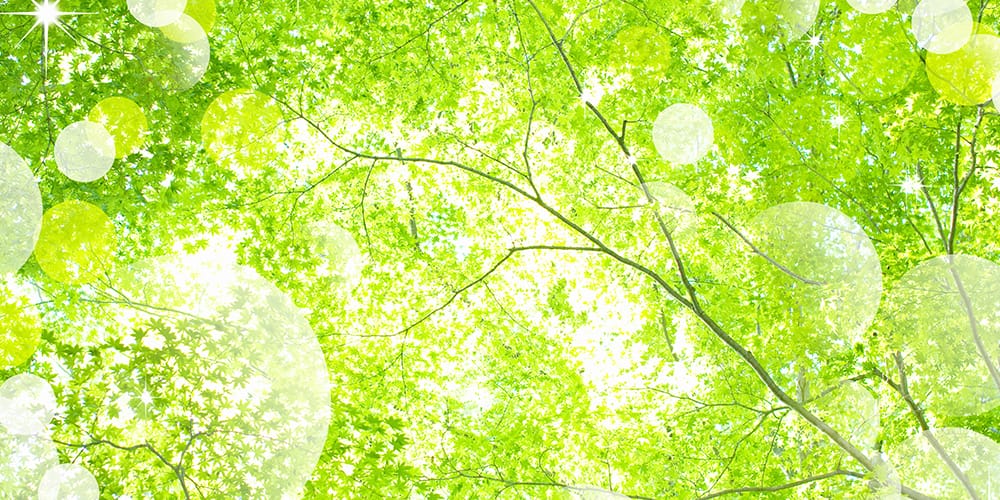 研究会について