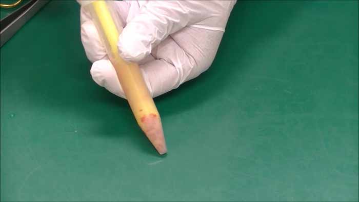 細細胞破砕用ホモジナイザーの黄色の棒で3～5分程クリーム状になるまで良くすり潰します。